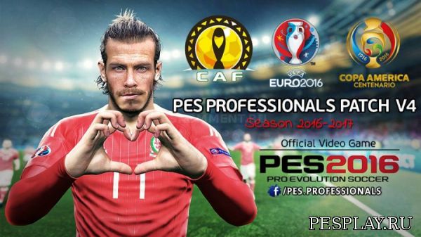 Professionals Patch версия 4.0 - торрент файл